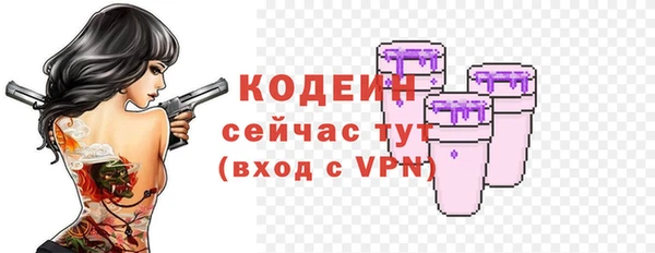 сатива Богородицк