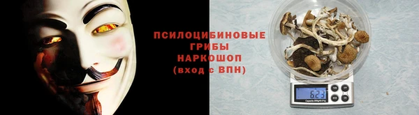 мескалин Богданович
