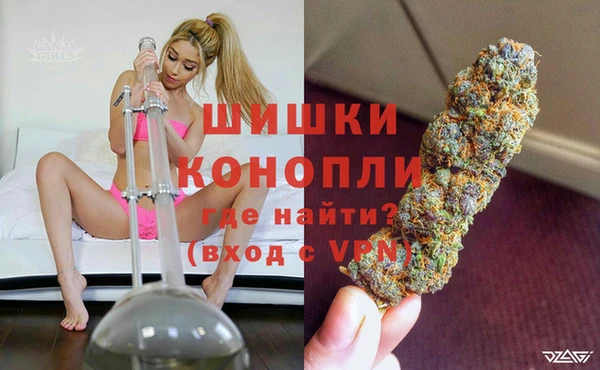 сатива Богородицк