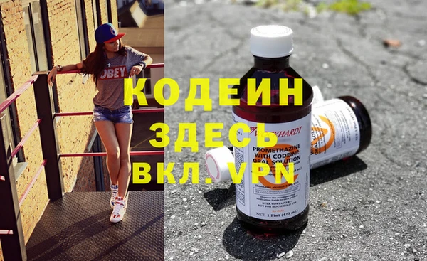 сатива Богородицк