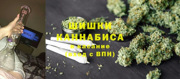 сатива Богородицк