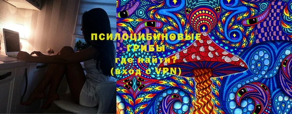 мескалин Богданович