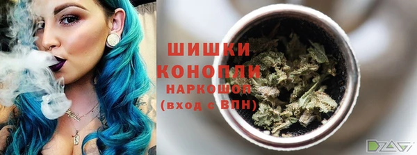 сатива Богородицк